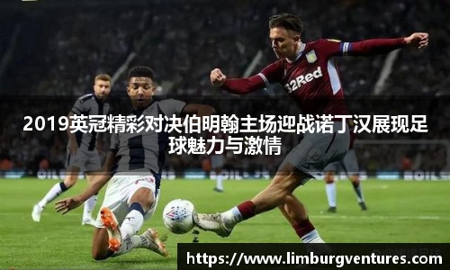 2019英冠精彩对决伯明翰主场迎战诺丁汉展现足球魅力与激情